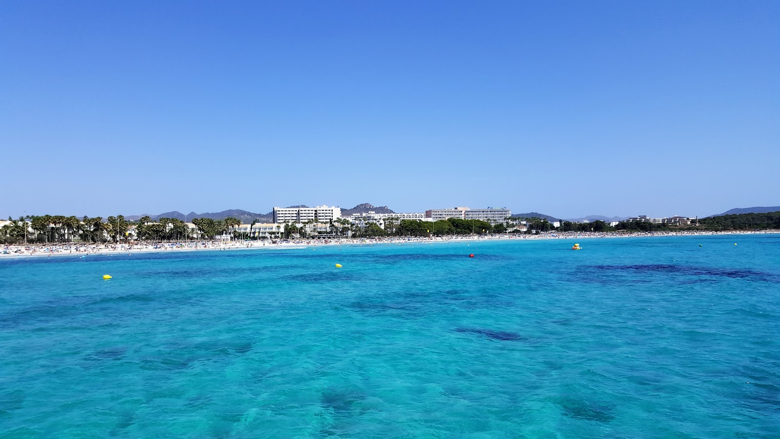 Zdjęcie Playa de Sa Coma - popularne miejsce wśród znawców relaksu