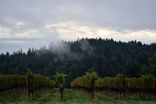Winery «JK Carriere», reviews and photos, 9995 NE Parrett Mountain Rd, Newberg, OR 97132, USA
