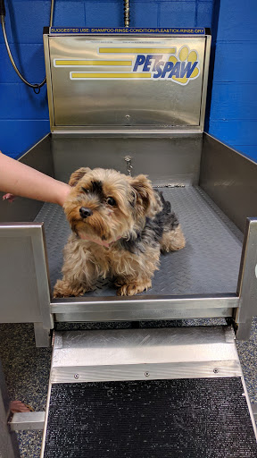 Car Wash «Quick Clean Car & Pet Wash Store, Ltd.», reviews and photos, 2500 Mayfair Rd, Akron, OH 44312, USA