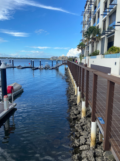 Paradise Mangrove boardwalk, 9 Havana Wy, Paradise Point QLD 4216