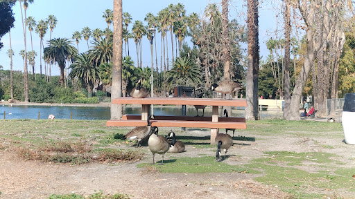 Water Park «Alondra Park Splash Pad», reviews and photos, 3353 Redondo Beach Blvd, Lawndale, CA 90260, USA