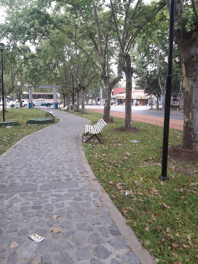 Boulevard Av. San Martín