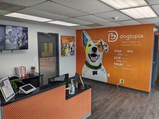 Dogtopia of Arlington-Shirlington