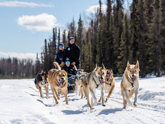 Alaskan Husky Adventures