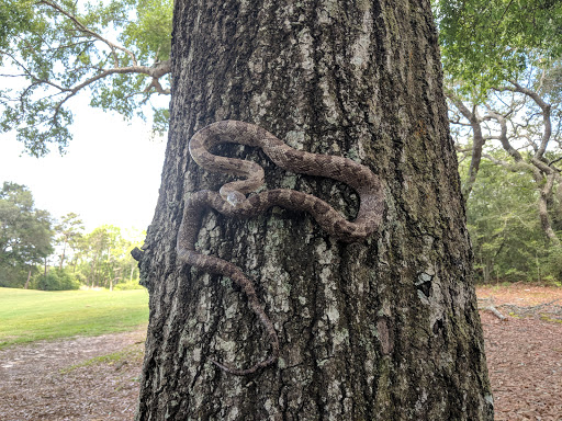 Public Golf Course «Eglin Golf Course», reviews and photos, 1527 Fairway Dr, Niceville, FL 32578, USA