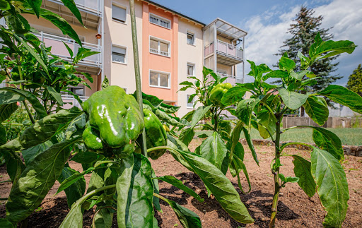 Wohnungsunternehmen Frankenheim eG