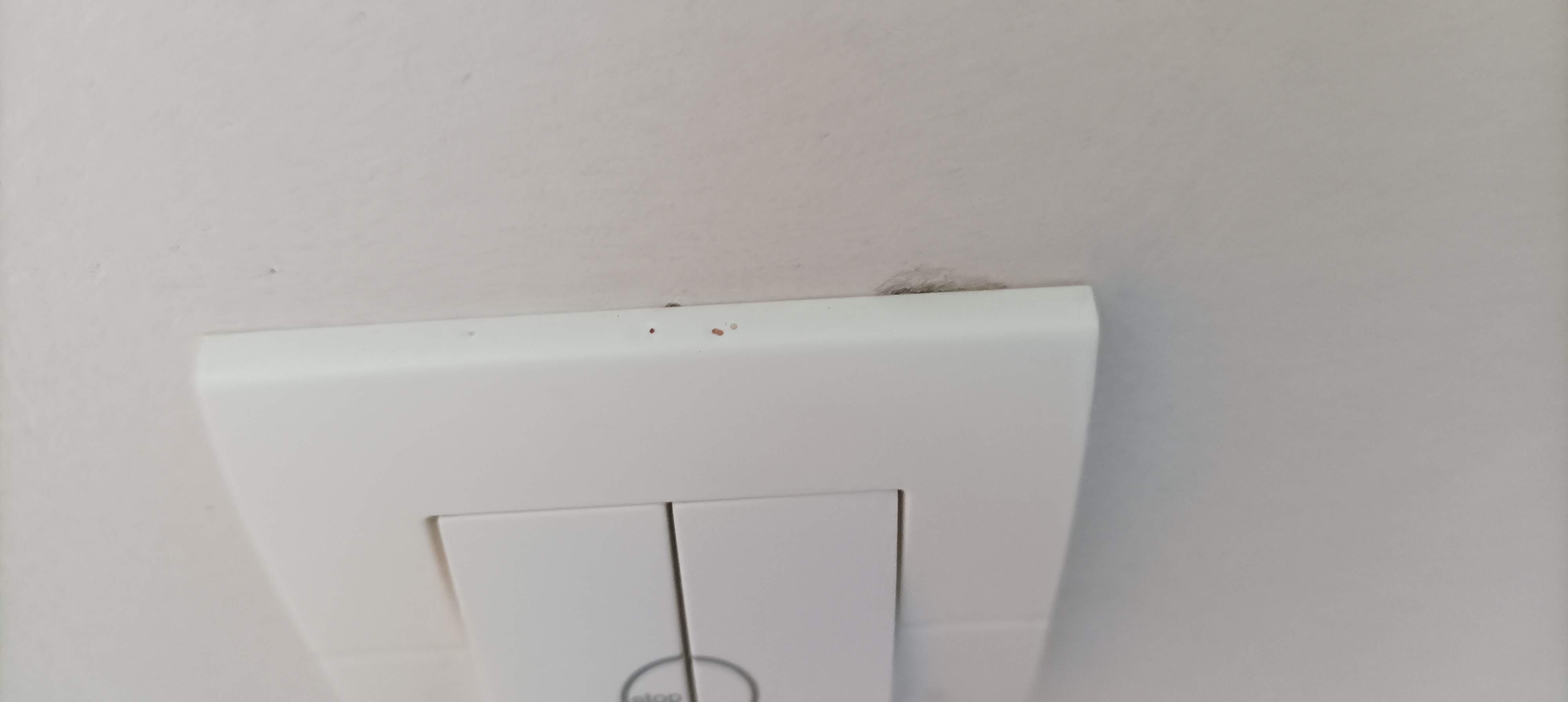 Photo n° 10 de l'avis de Joel.A fait le 30/01/2019 à 19:23