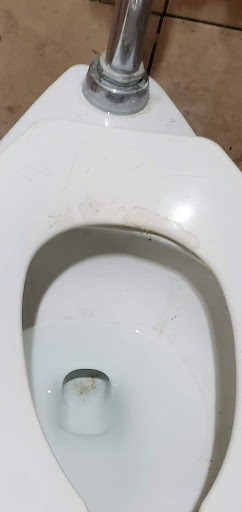 Public bathroom Mesa
