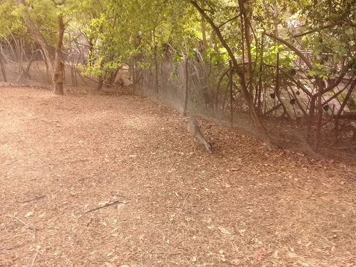 Parque Histórico de Guayaquil