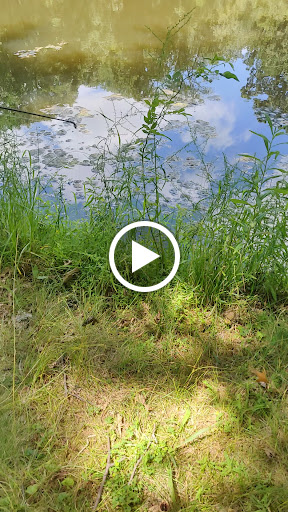 Nature Preserve «Sourland Mountain Preserve», reviews and photos, 421 E Mountain Rd, Hillsborough Township, NJ 08844, USA