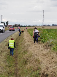 Photo n°2 de Oblinghem Marche Écolo à Oblinghem ()