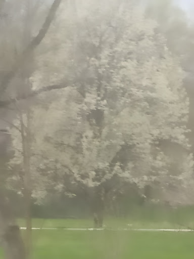 Country Club «Woodland Country Club», reviews and photos, 100 Woodland Ln, Carmel, IN 46032, USA