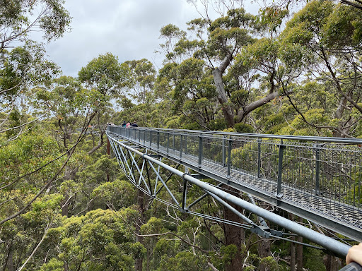 bank Valley Of The Giants Tree Top Walk