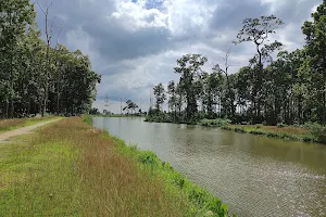 Amaha WetLand image