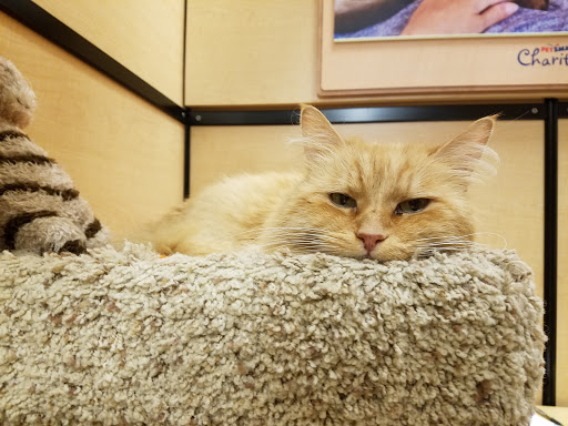 Pet Supply Store «PetSmart», reviews and photos, 1203 N Landing Way, Renton, WA 98057, USA