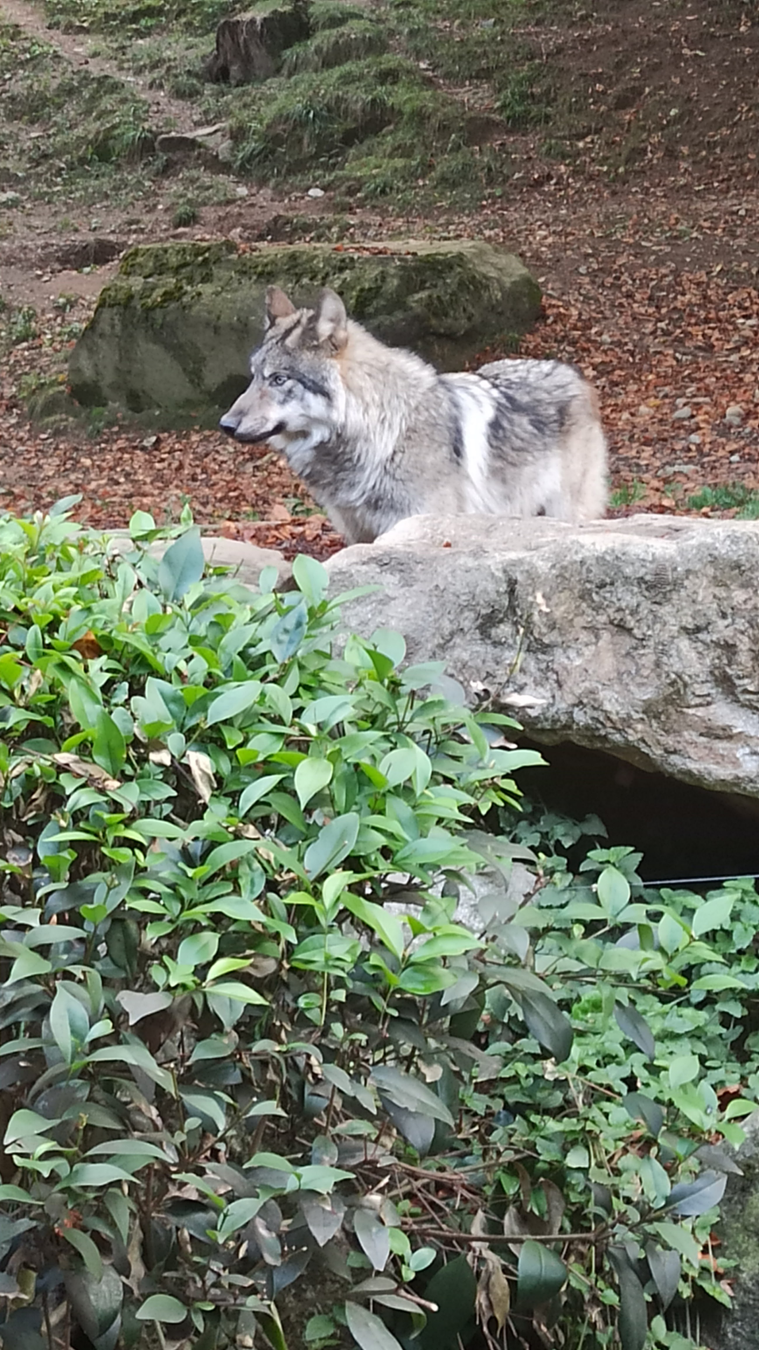 Photo n° 1 de l'avis de Lucie.o fait le 26/10/2023 à 19:45
