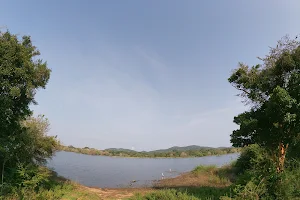 Minneriya Park Animal Watch Hut image