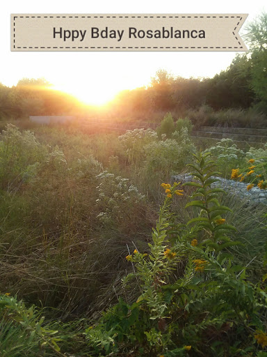 Park «Phil Hardberger Park», reviews and photos, 13203 Blanco Rd, San Antonio, TX 78216, USA