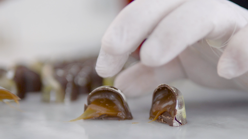 Dessert Restaurant «Crème de la Cocoa», reviews and photos, 299 San Marco Ave, St Augustine, FL 32084, USA