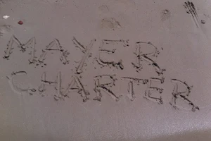 Mayer Charter image