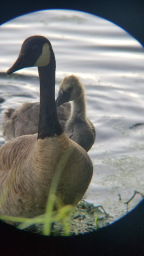 Nature Preserve «The Celery Farm», reviews and photos, Franklin Turnpike, Allendale, NJ 07401, USA