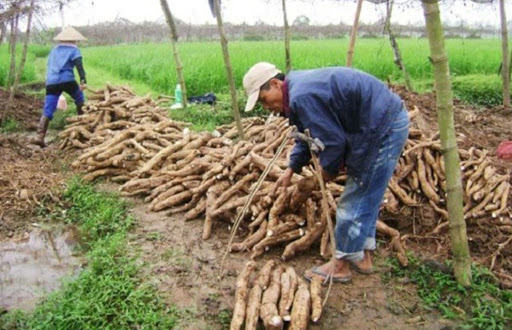 Top 3 cửa hàng bkav Huyện Tân Châu Tây Ninh 2022