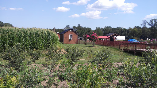 Golf Course «Knob Hill Golf Course», reviews and photos, 1 Shinnecock Dr, Manalapan Township, NJ 07726, USA