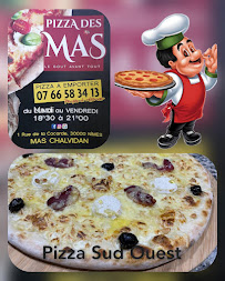 Plats et boissons du Pizzas à emporter Pizza des Mas à Nîmes - n°10