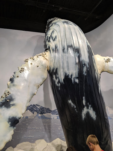 Aquarium «Newport Aquarium», reviews and photos, 1 Aquarium Way, Newport, KY 41071, USA