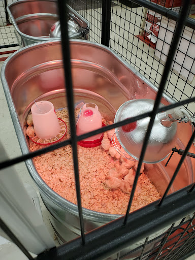 Home Improvement Store «Tractor Supply Co.», reviews and photos, 55 Crystal Ave #17a, Derry, NH 03038, USA