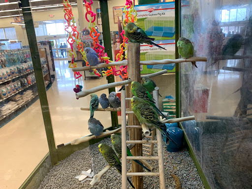 Pet Supply Store «Petco Animal Supplies», reviews and photos, 390 Universal Dr N, North Haven, CT 06473, USA