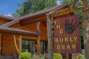 The Burly Bear image