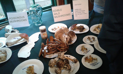 Golf Course «Mill Valley Golf Course», reviews and photos, 280 Buena Vista Ave, Mill Valley, CA 94941, USA