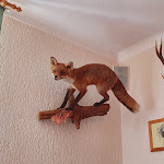 Photo n°3 de l'avis de Luisa.. fait le 18/04/2022 à 13:54 sur le  Uhlig´s Gasthof à Marienberg