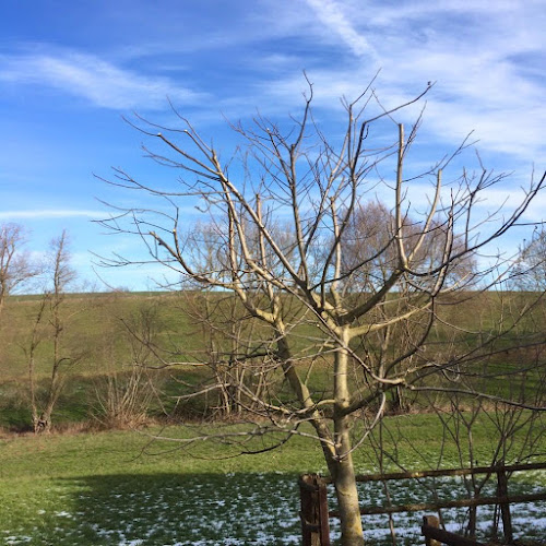 RBG Jardins Sàrl - Villars-sur-Glâne