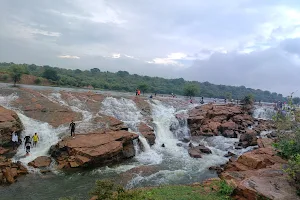 Bassi Dam image
