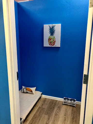 Pet Store «Bark Life Market», reviews and photos, 11220 Park Blvd N, Seminole, FL 33772, USA