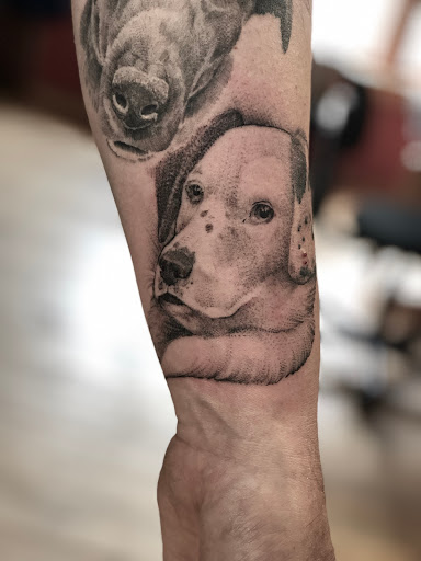 Explore lion tattoo ideas for females, creative tattoo ideas in Orange, available at North Quabbin Tattoo