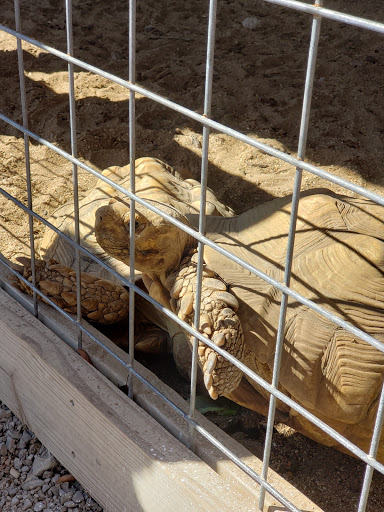 Tourist Attraction «Lucky Ladd Farms», reviews and photos, 4374 Rocky Glade Rd, Eagleville, TN 37060, USA