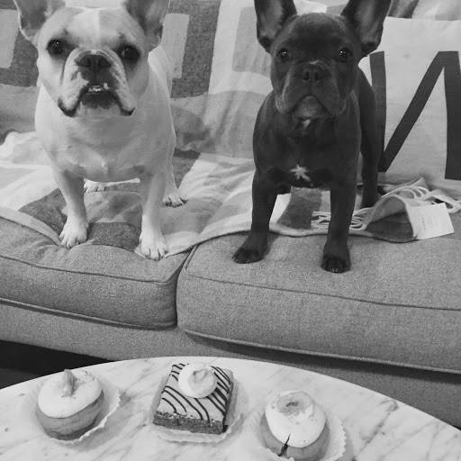 Pet Supply Store «Three Dog Bakery Inc», reviews and photos, 3929 Chenoweth Square, Louisville, KY 40207, USA