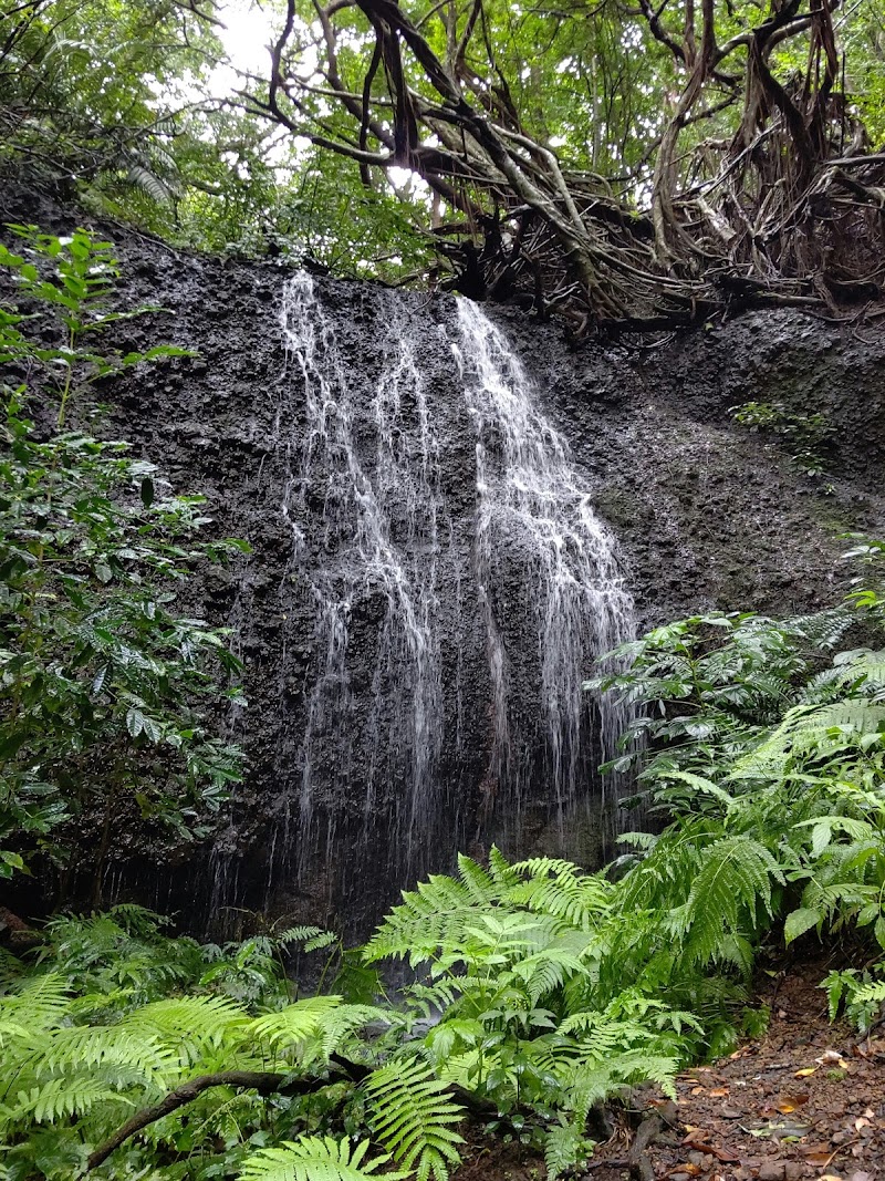 船木山の滝