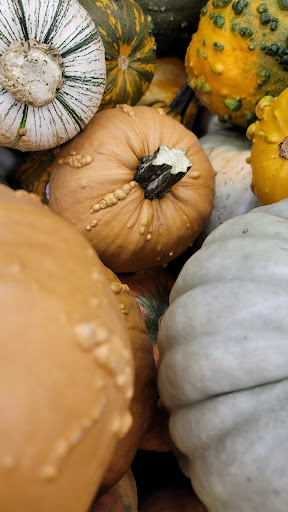 Grocery Store «Family Fare Supermarket», reviews and photos, 699 U.S. 2, St Ignace, MI 49781, USA