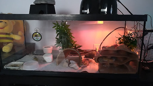 Pet Supply Store «PetSmart», reviews and photos, 12483 Limonite Ave, Mira Loma, CA 91752, USA