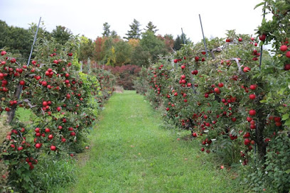 Alysons Orchard