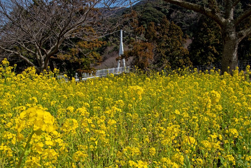 ゆらりんこ橋駐車場