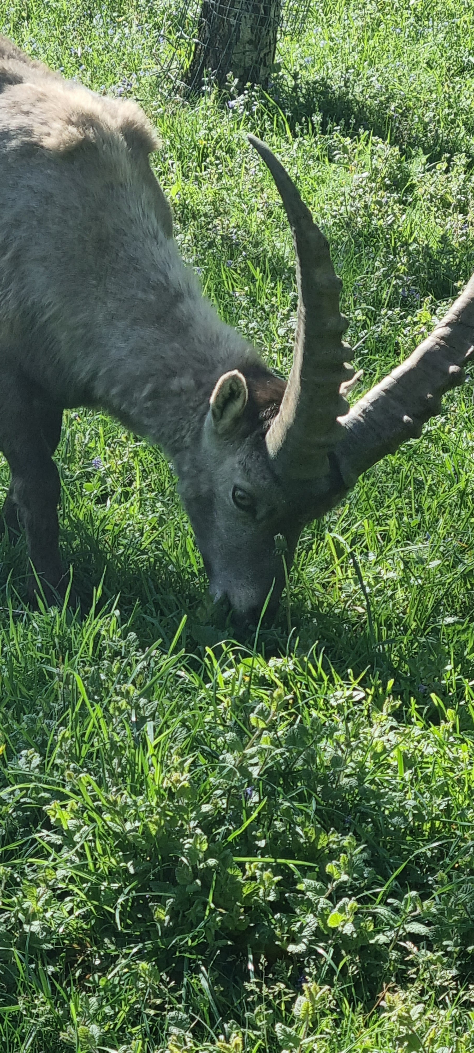 Photo n° 50 de l'avis de Anne.a fait le 25/04/2022 à 13:04