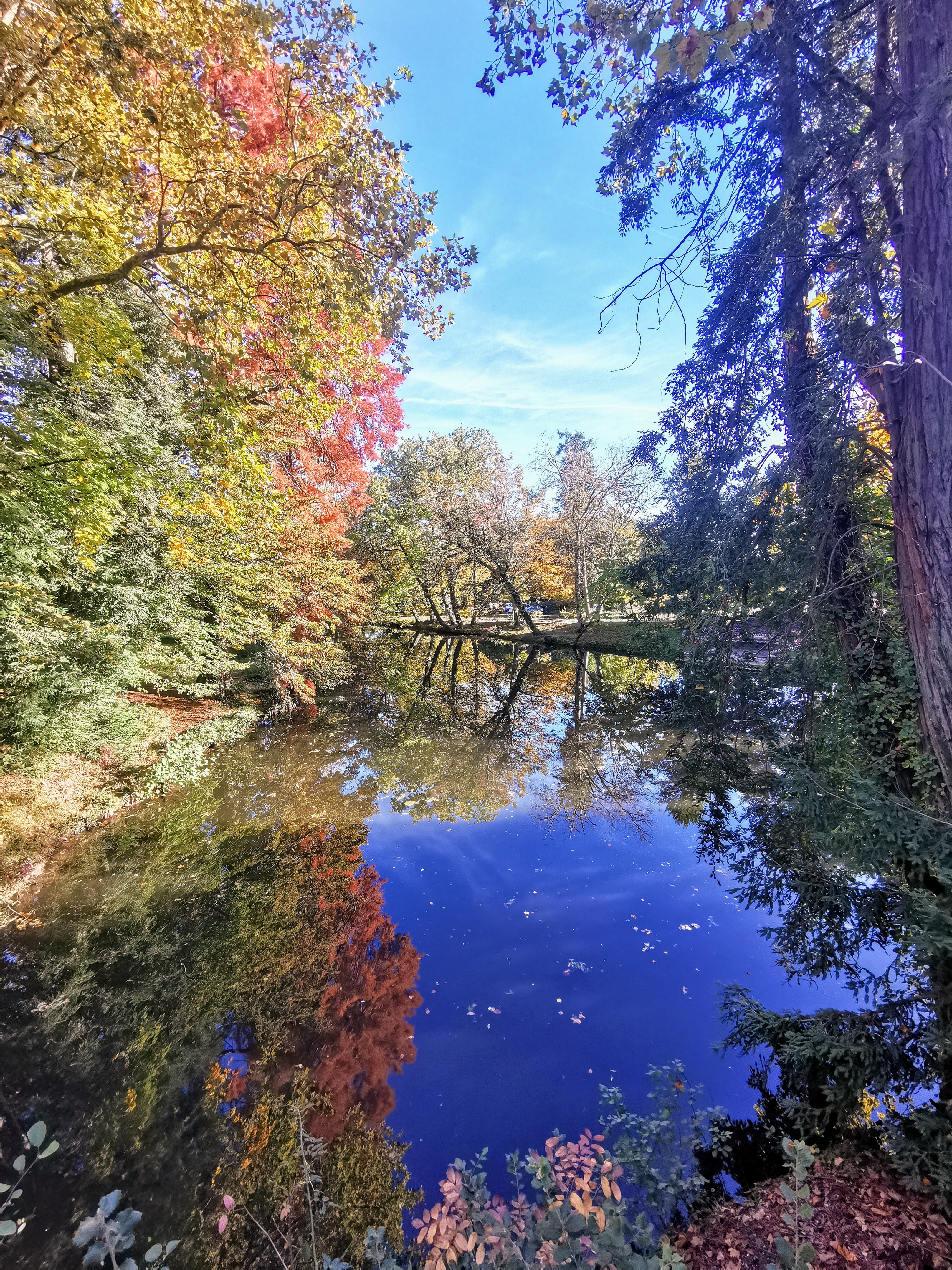 Photo n° 37 de l'avis de Alexandre.l fait le 27/10/2021 à 18:59