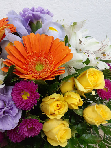 Florist «Mandarin Orchid House», reviews and photos, 3137 Stockton Hill Rd, Kingman, AZ 86401, USA