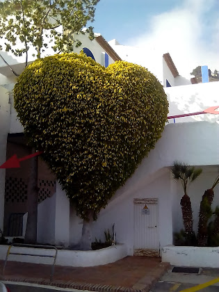 Photos des visiteurs Holiday home Villa Aguilera 18697 La Herradura