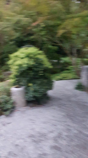 Park «Wilburton Hill Park», reviews and photos, 12400 Main St, Bellevue, WA 98005, USA